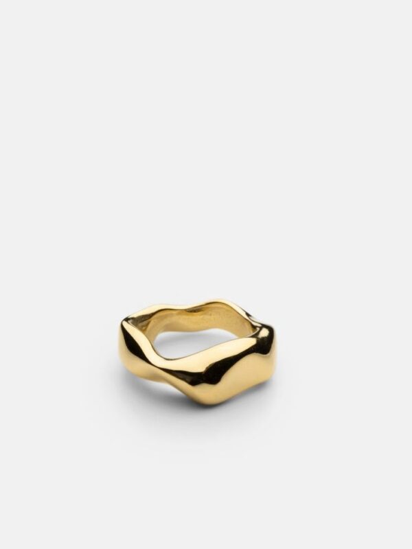 Anillo Terra II