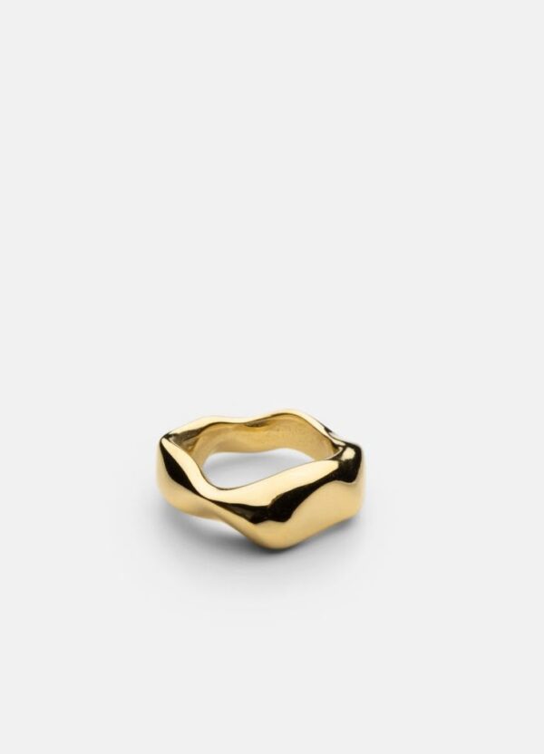 Anillo Terra II