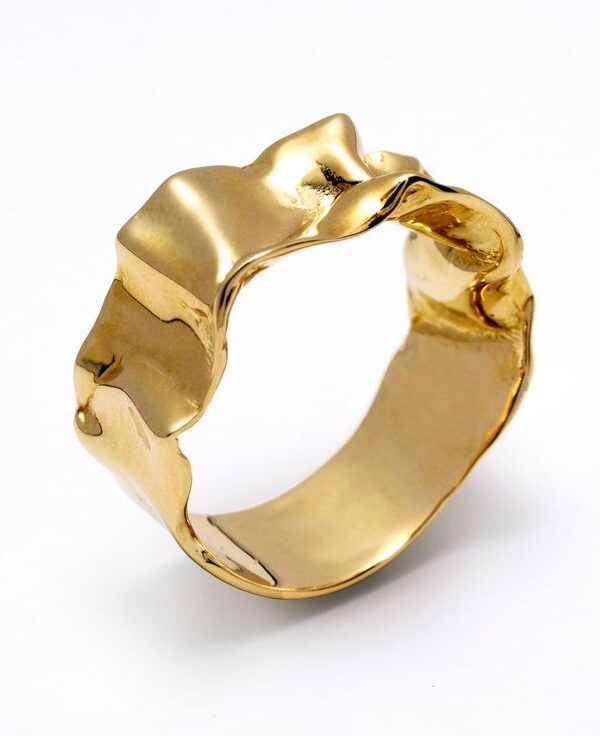 Anillo Terra I